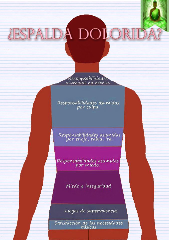 vertebras dolores