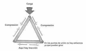 triangulo