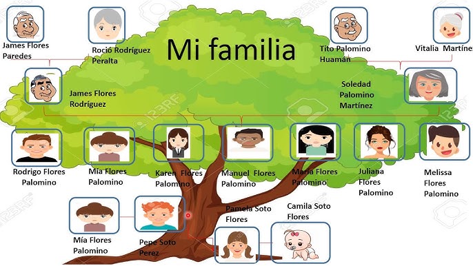 linaje familiar arbol2