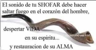 sofar1