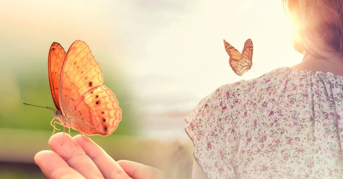 mariposa
