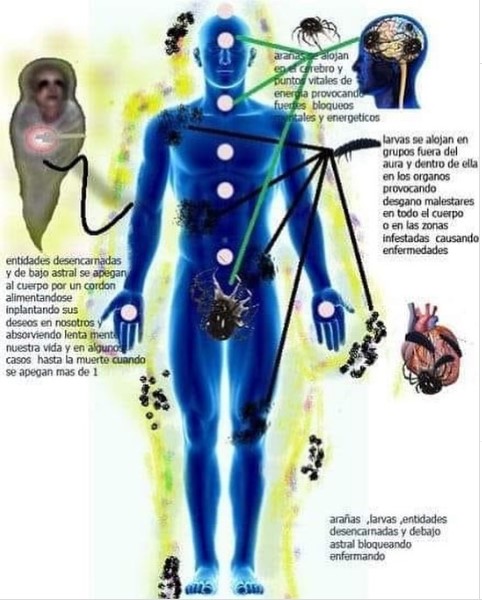 parasito2