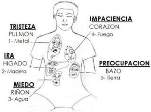 restrictores energeticos2