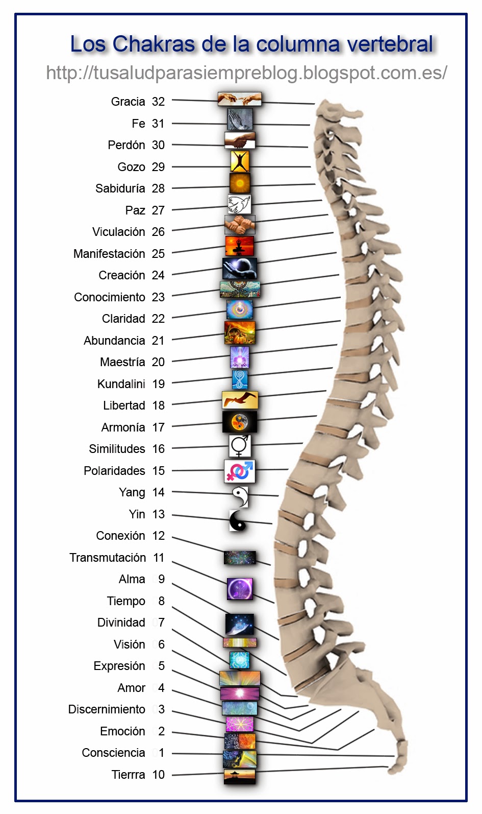 chacra columna