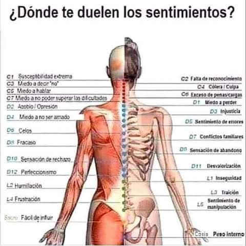 columna