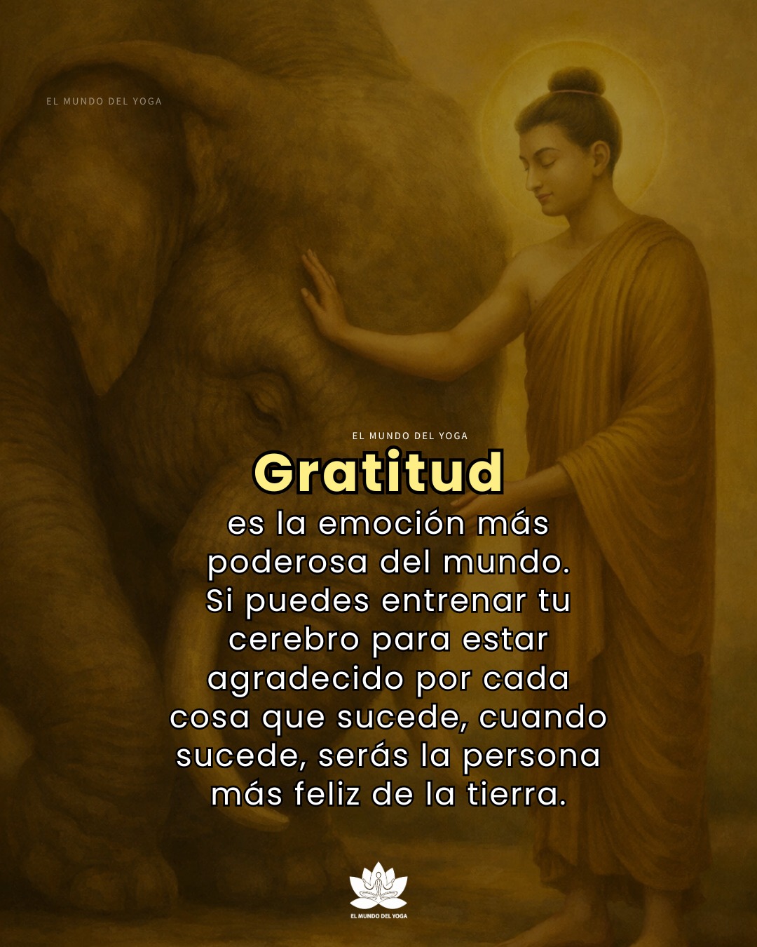 Ejercicio de la gratitud diaria