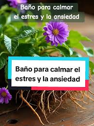 Baño herbal Ansiedad y depresión