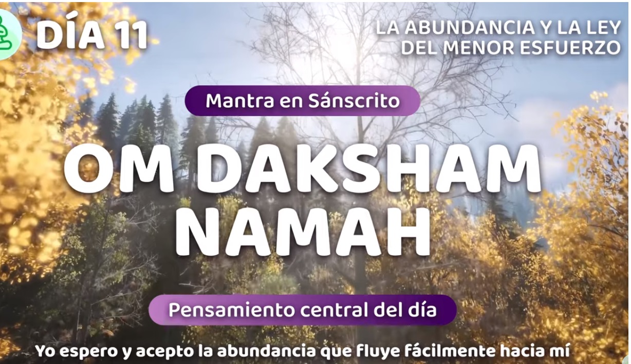 11 dia