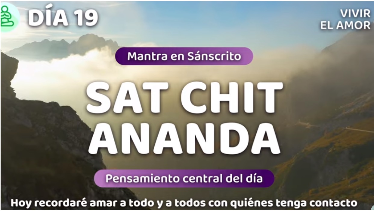 19 dia