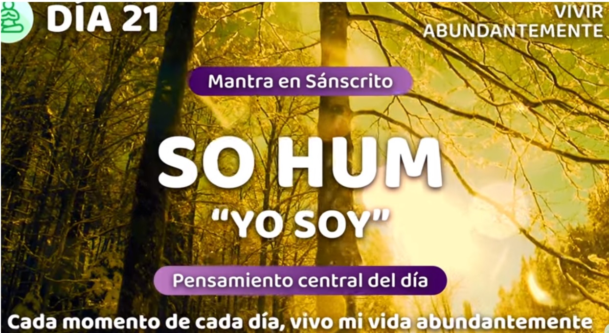 21 dia