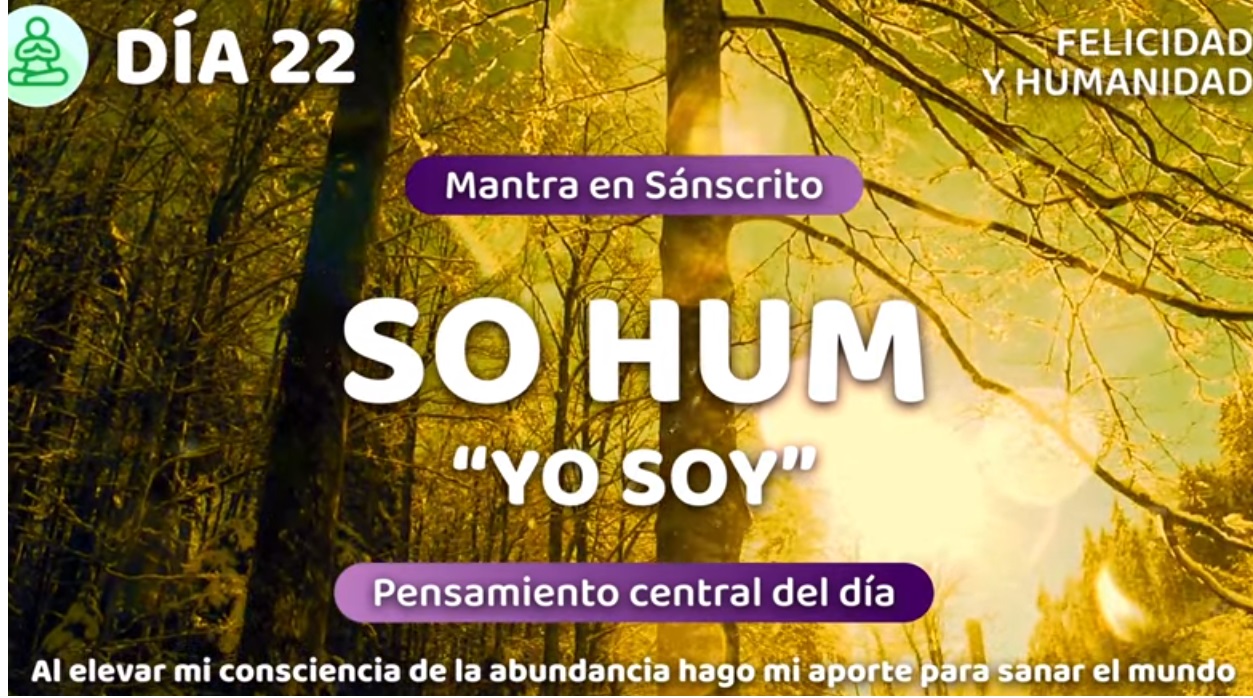 22 dia