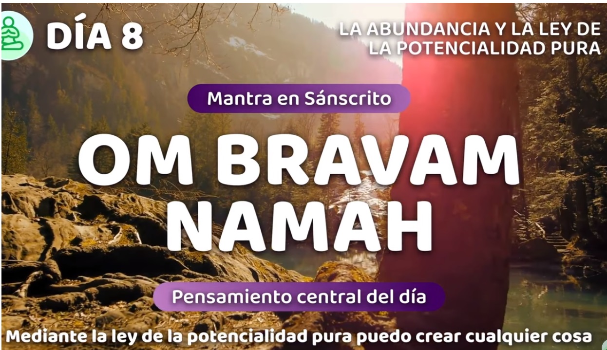 8 dia