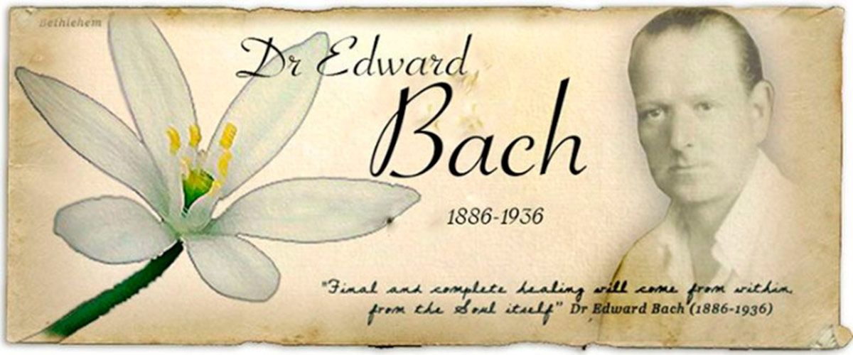 edward